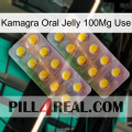 Kamagra Oral Jelly 100Mg Use new10